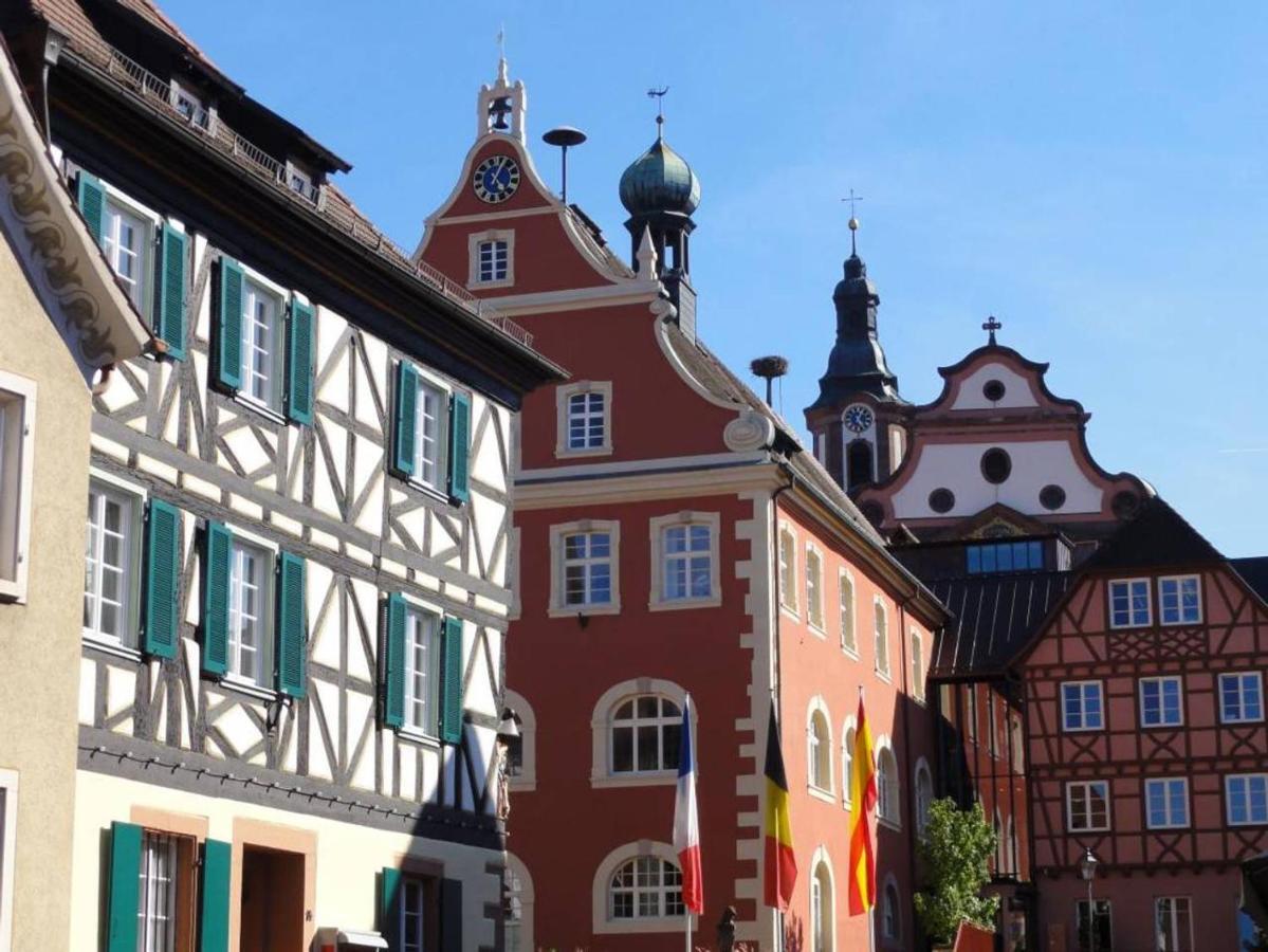 Apartamento Perfekt für Familien und Gruppen nur 10min vom Europapark - W6 Ettenheim Exterior foto